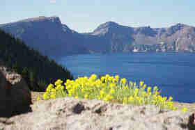 Oregon CRATERLK s.JPG - 5290 Bytes - Click for larger view